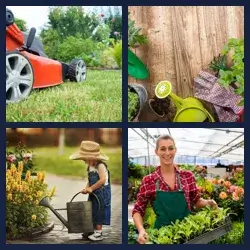 4 Pics 1 Word GARDENING