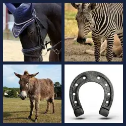 4 Pics 1 Word EQUINE