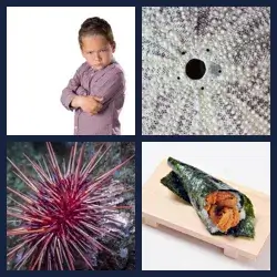 4 Pics 1 Word URCHIN