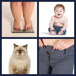 4 Pics 1 Word CHUBBY