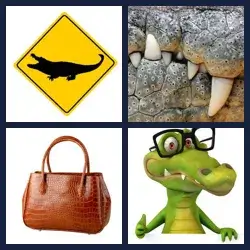 4 Pics 1 Word CROCODILE