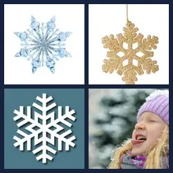 4 Pics 1 Word SNOWFLAKE