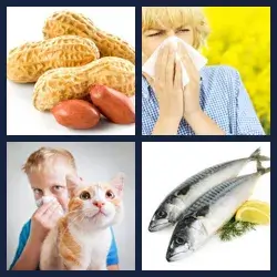4 Pics 1 Word ALLERGIES