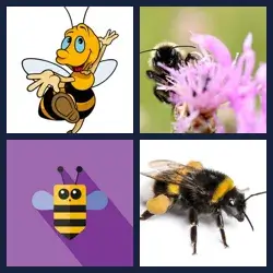 4 Pics 1 Word BUMBLEBEE