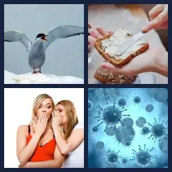 4 Pics 1 Word SPREADING