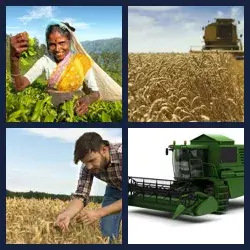 4 Pics 1 Word HARVESTER