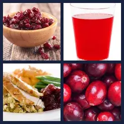 4 Pics 1 Word CRANBERRY