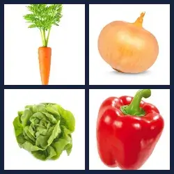 4 Pics 1 Word VEGETABLE