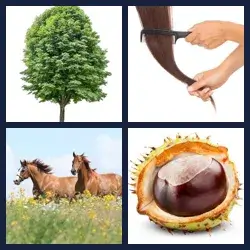 4 Pics 1 Word 4272 Level 4 Pics 1 Word 4272 Answer