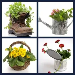 4 Pics 1 Word FLOWERPOT