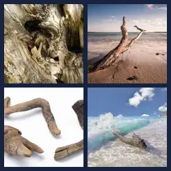 4 Pics 1 Word DRIFTWOOD