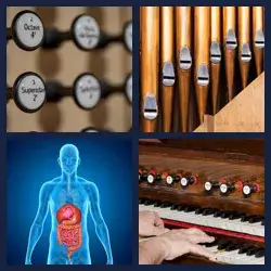 4 Pics 1 Word ORGANS