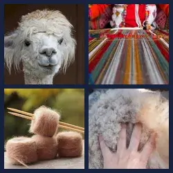 4 Pics 1 Word ALPACA