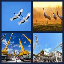 4 Pics 1 Word CRANES