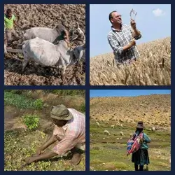 4 Pics 1 Word FARMER
