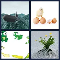 4 Pics 1 Word EMERGE