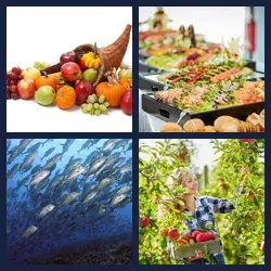 4 Pics 1 Word PLENTY