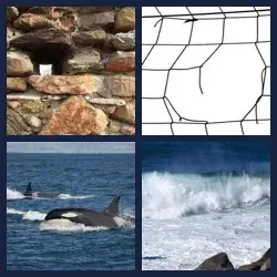 4 Pics 1 Word BREACH