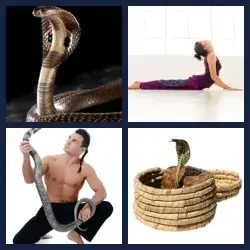 4 Pics 1 Word Level 2880