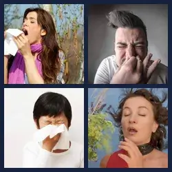 4 Pics 1 Word Level 2887