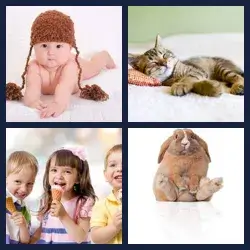 4 Pics 1 Word Level 2890