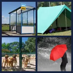 4 Pics 1 Word Level 2902