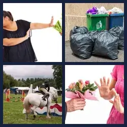 4 Pics 1 Word Level 2906