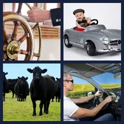 4 Pics 1 Word Level 2915