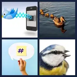 4 Pics 1 Word Level 2918