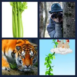 4 Pics 1 Word Level 2920