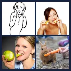 4 Pics 1 Word Level 2924