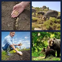 4 Pics 1 Word Level 2927