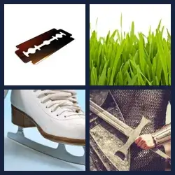 4 Pics 1 Word Level 2930