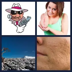 4 Pics 1 Word Level 2940