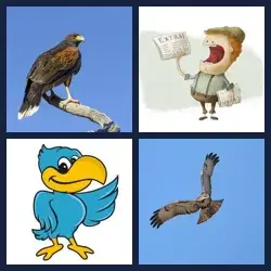 4 Pics 1 Word Level 2941