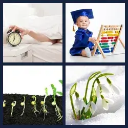 4 Pics 1 Word Level 2946