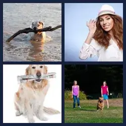 4 Pics 1 Word Level 2948