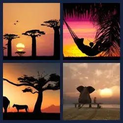 4 Pics 1 Word Level 2958