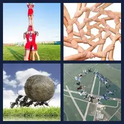 4 Pics 1 Word Level 2979