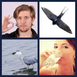 4 Pics 1 Word Level 2989