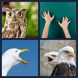 4 Pics 1 Word Level 2996