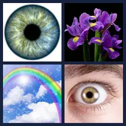 4 Pics 1 Word Level 3005