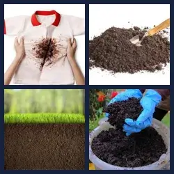 4 Pics 1 Word Level 3014