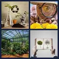 4 Pics 1 Word Level 3015