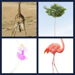 4 Pics 1 Word Level 3036