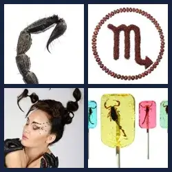 4 Pics 1 Word Level 3055