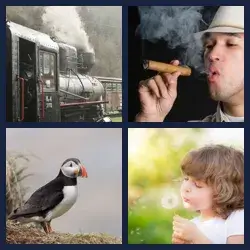 4 Pics 1 Word Level 3060