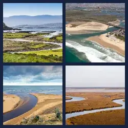 4 Pics 1 Word Level 3063