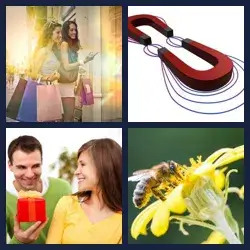 4 Pics 1 Word Level 3084