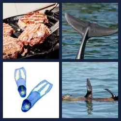 4 Pics 1 Word Level 3094